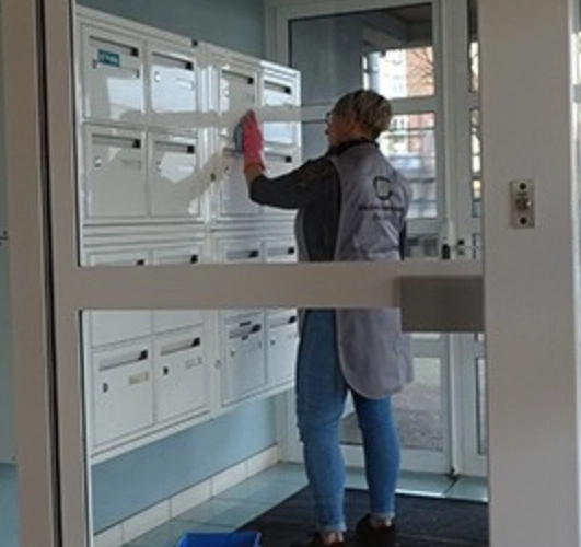 Limpieza de zonas comunes de edificios en Alberic 46260