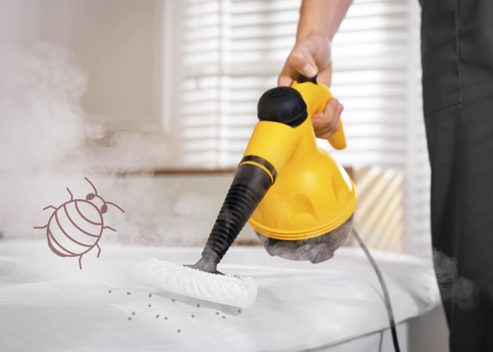 Tratamiento contra chinches en Toledo 45000